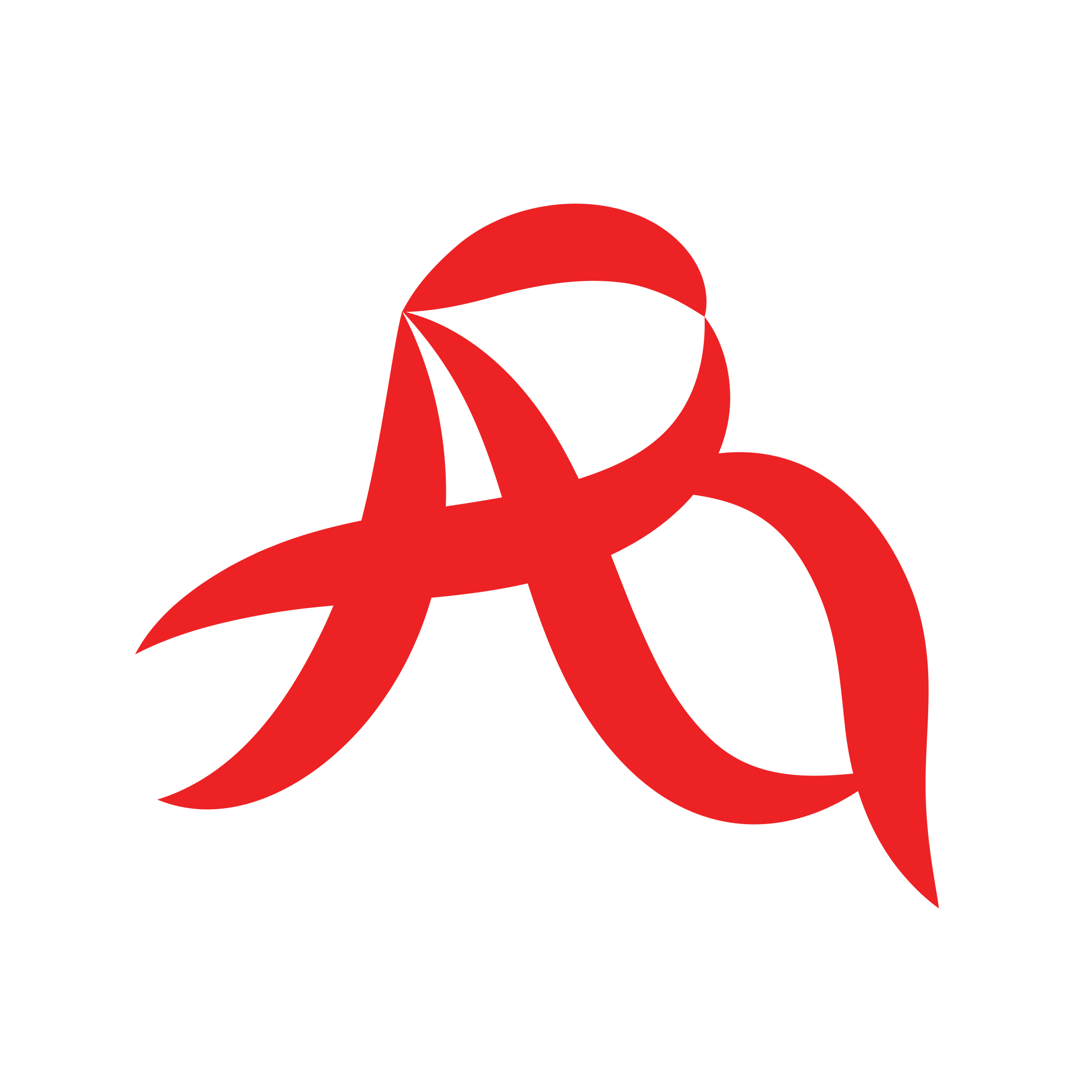 ARGUIB